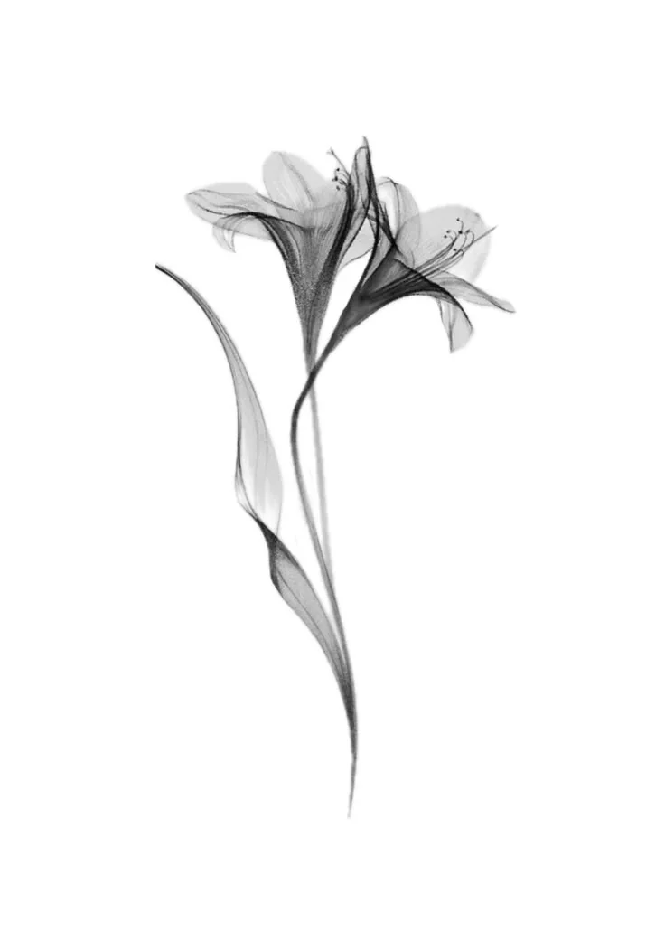 Flower-Image